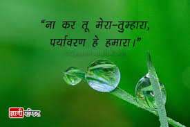 You could either find books that collect quotes from various sources, or look for them at any electronic resources. Best Quotes For Environment Day