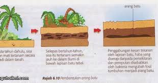 Ini membahayakan alam sekitar dengan mewujudkan kabus dan kesan rumah hijau. Sumber Bahan Api Semulajadi Dan Kepentingannya