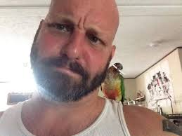 Missing green cheeked conure parrot in Tidioute area