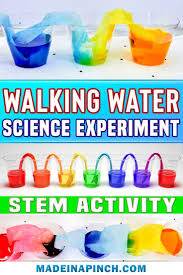 Rainbow Walking Water Experiment For Kids In 2020 Water Experiments For Kids Walking Water Experiment Water Experiments