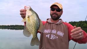 Bass jigging & rigging dvd Lindner S Angling Edge 2020
