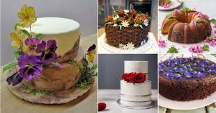 We did not find results for: 24 Edible Flowers For Cakes And Garnishing Balcony Garden Web