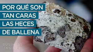 El compuesto que más se asemeja al ámbar gris es el ambroxan una sustancia basada en la molécula ambrox. Las Heces De Ballena Cuestan Hasta 30 Veces Mas Que La Plata Business Insider Espana