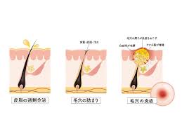 東京美肌堂
