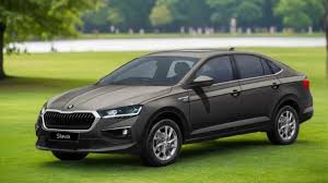 Image result for Carbon Steel 2025 Slavia