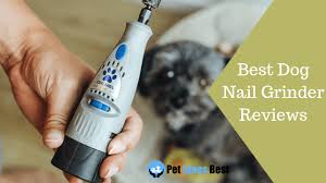 the 10 best dog nail grinders of 2019 reviews for small