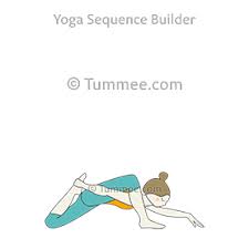 Lizard Pose Variation Holding Back Foot Yoga Utthan Pristhasana Variation Holding Back Foot Yoga Sequences Benefits Variations And Sanskrit Pronunciatio Lizard Pose Yoga Sequences Shoulder Flexibility