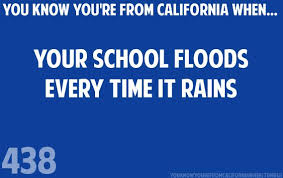 Pin By Leah Glickman On Funneh With Images California Quotes Haha So True Waitress Humor