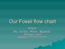 Our Fossil Flow Chart