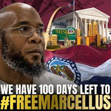 Noose to Needle Project