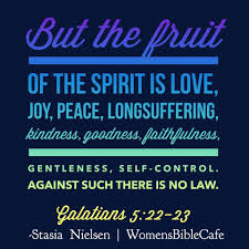 Galatians 5 22 23 Kjv 22 But The Fruit Of The Spirit Is Love Joy Peace Longsuffering Gentleness Goodness Faith 23 Word Of God Scripture Quotes Words
