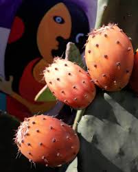 Somewhere between a cantaloupe and a. 6 Edible Succulents To Excite Your Taste Buds Succulent City