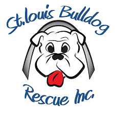 Browse thru thousands of french bulldog dogs for adoption in missouri, usa area , listed by dog rescue organizations and individuals, to find your match. St Louis English Bulldog Rescue Home Facebook