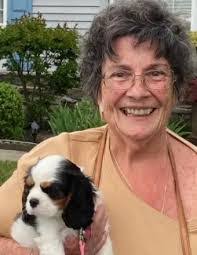 Carol Egan's Instagram, Twitter & Facebook