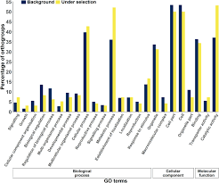 Image result for Macrotyloma daltonii