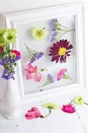 Are you actually a little bit of a beginner when it comes to diy and crafting techniques, so you've been. Framed Dried Flowers Craft Easy Peasy Creative Ideas