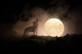 Luna llena novela turca en español. Luna Llena Luna Del Lobo Por Que Se Llama Asi Y Como Verla Este 28 De Enero Sociedad W Radio Mexico