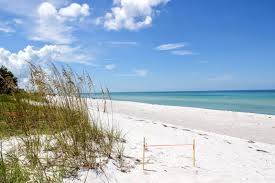 Surprising Siesta Key, Lido & Longboat Key Facts | Must Do Visitor Guides