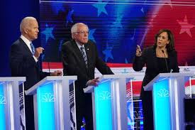 Image result for Bidens diversa