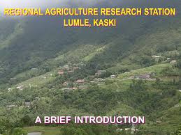 Director, iari addressing during foundation day programme. Regional Agriculture Research Station Ppt Video Online Download