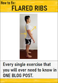 Flared Ribs In 2020 Exercise Extensor Muscles Ribs