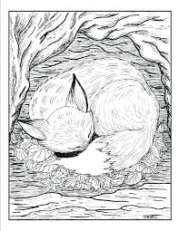 fresh coloring pages realistic animals download fox coloring coloring home