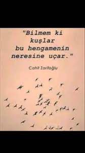 bilmem ki kuslar bu hengamenin neresine ucar cahit zarifoglu ozlu sozler ilahm veren alintilar guzel soz