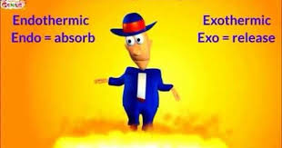 Understanding Exothermic And Endothermic Reactions Video For Kids Youtube Fun Science Matter Science Learning Science