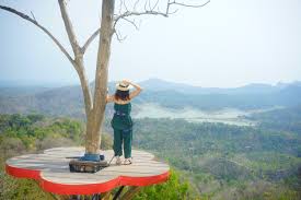 Kalibiru Jogja Liburan Alam