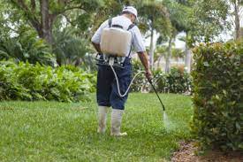 D&r pest control has been in business since 2008. Home