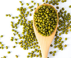 Ginkgo biloba sangat terkenal di kacang gingko mempunyai teksturnya yang kenyal dan rasanya sedikit pahit. 5 Manfaat Kacang Hijau Untuk Kesehatan