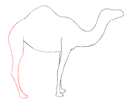Learning this skill will fill the huge void that currently lies at the center know of a cool project in west africa that could use some attention? How To Draw A Camel Draw Central
