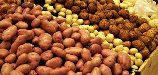We did not find results for: Varieta Di Patate In Bielorussia Precoce Medio Medio Medio In Ritardo Nomi Descrizione Resa