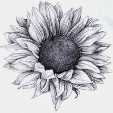 With Their Bright Yellow Petals Spreading From Their Center Sunflowers Not Only Resemble The Sun They Wil Sunflower Tattoos Sunflower Tattoo Body Art Tattoos This particular sunflower tattoo style looks were you able to draw sunflowers like this? sunflower tattoos sunflower tattoo