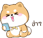 Hahahaha GIFs | Tenor