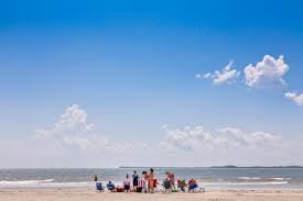 That means you must be safe and careful when letting your dog swim in the ocean. Edisto Island A Vacation For Everyone