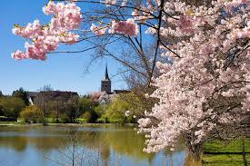 Sunny Spring Day In Sindelfingen Baden Wurttemberg Germany Lovel Beautiful Landscape Photography Mountain Landscape Photography Landscape Photography Nature