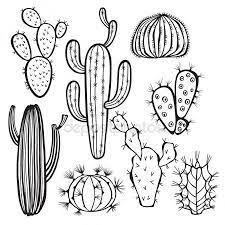 Black And White Cactus Drawing Vector Preto E Branco Image Result For Cacti Drawing Black And White Models With Images Cactus Drawing Cactus Pictures Drawing Set
