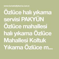 ozluce hali yikama servisi pakyun ozluce mahallesi hali yikama ozluce mahallesi koltuk yikama ozluce mahallesi stor perde yikama halilar niluferler stor