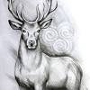 If an animal companion increases its intelligence to 10 or higher, it gains bonus skill ranks as normal. 3