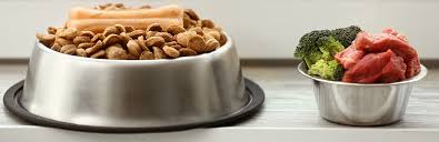 We have chosen to utilize the well established benchmarks that have been published after thorough review across many different types of animals and across many different locations as published by aafco to be the basis. Do Our Pets Prefer Hot Or Cold Food My Pet Needs That