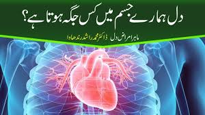 Dil Hamary Jisam Main Kis Jagha Hota Hai Youtube