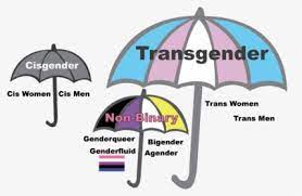 Check spelling or type a new query. A Depiction Of The Transgender Umbrella Genderfluid Non Binary Hairstyles Hd Png Download Kindpng