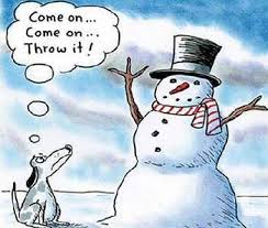 Check spelling or type a new query. Funny Cute Christmas Dog Pics D For Dog
