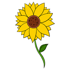 How To Draw A Sunflower Really Easy Drawing Tutorial Drawing Tutorial Easy Drawing Tutorial Sunflower Drawing Drawing kid sunflower illustrations & vectors. easy drawing tutorial