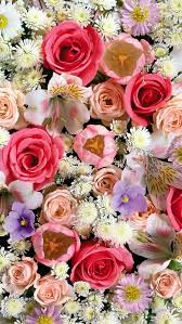 Nature Wallpaper Iphone Flowers Flower Iphone Wallpaper Wallpaper Nature Flowers Best Flower Wallpaper