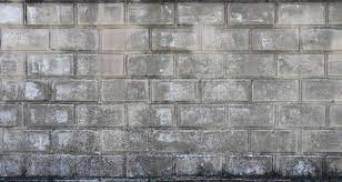 Crab meat in coconut cream soup and micro greens over gray concrete background top view copy space h. Grunge Block Textures Cinder Block Walls Concrete Texture Brick Texture