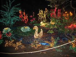 Christmas Lights Scenes Christmas Lights Scenes Color Changing Led Christmas Lights Led Christmas Lights Christmas Lights Color Changing Led