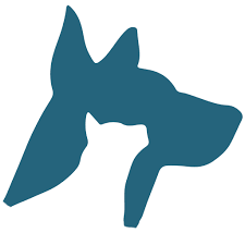 We did not find results for: Veterinarian In Boynton Beach Fl Animal Hospital In Boynton Beach Fl