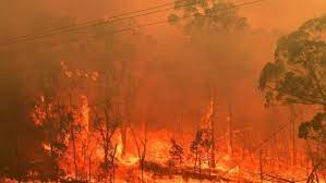 Το φεγγαρι και οι φωτιεσ. Italia Fwties Panw Apo 200 000 Stremmata Ghs Kahkan Sth Sardhnia Skai